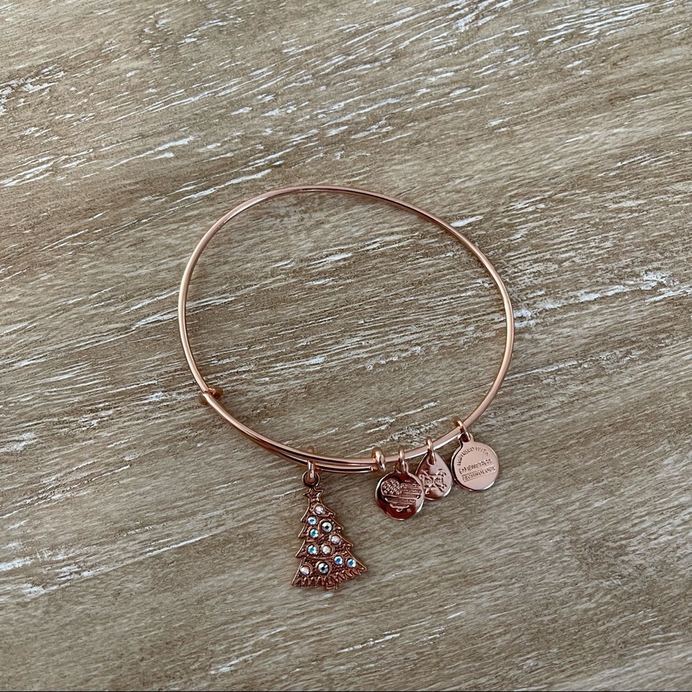 Alex and Ani Bracelet